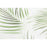 Ταπετσαρία Τοίχου Tropical Shades HC71973-17 1.06m x 10.05m | Dagiopoulos.gr