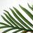 Τεχνητό Φυτό Finikas NP0268 170cm | Dagiopoulos.gr