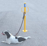 Κολωνάκι Πάρκινγκ Κατοικίδιων Εξωτερικής Χρήσης Με 4 Θέσεις