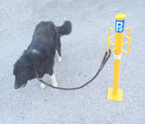 Κολωνάκι Πάρκινγκ Κατοικίδιων Εξωτερικής Χρήσης Με 4 Θέσεις