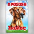 Πινακίδα Σήμανσης “ΠΡΟΣΟΧΗ ΣΚΥΛΟΣ – ΒΙΖΛΑ” PVC 200mm x 300mm – Έγχρωμο