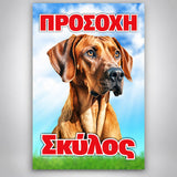 Πινακίδα Σήμανσης “ΠΡΟΣΟΧΗ ΣΚΥΛΟΣ – ΒΙΖΛΑ” PVC 200mm x 300mm – Έγχρωμο