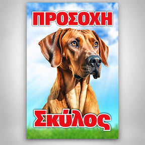Πινακίδα Σήμανσης “ΠΡΟΣΟΧΗ ΣΚΥΛΟΣ – ΒΙΖΛΑ” PVC 200mm x 300mm – Έγχρωμο