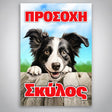 Πινακίδα Σήμανσης “ΠΡΟΣΟΧΗ ΣΚΥΛΟΣ – BERNEZE” PVC 200mm x 300mm – Έγχρωμο