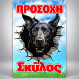 Πινακίδα Σήμανσης “ΠΡΟΣΟΧΗ ΣΚΥΛΟΣ – ΣΚΥΛΟΣ ΣΕ ΣΠΑΣΜΕΝΟ ΤΟΙΧΟ” PVC 200mm x 300mm – Έγχρωμο