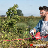 Skil 0429 AA 20V Max Ψαλίδι Μπορντούρας (Μπορντουροψάλιδο) Μπαταρίας 18V Li-Ion Με Μπαταρία 4.0Ah Διπλής Λάμας