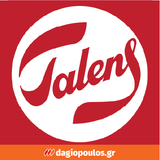 Talens Gesso Primer Έτοιμο Υλικό Προετοιμασίας