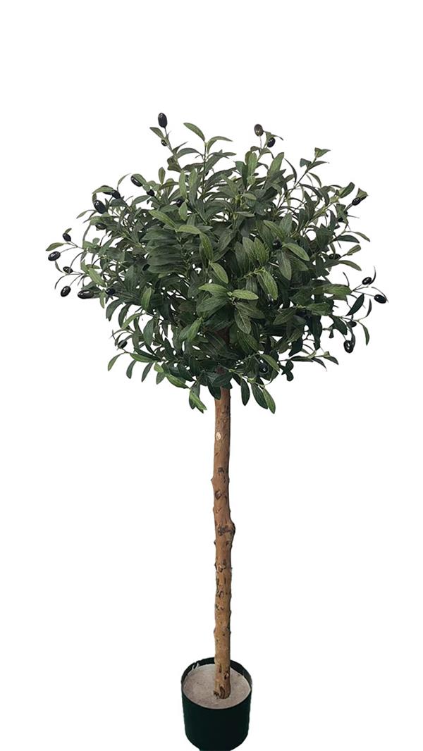 Τεχνητό Φυτό Olive Tree NP5807 Ύψος 150cm