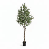 Τεχνητό Φυτό Olive Tree NP410 180cm