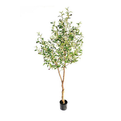 Τεχνητό Φυτό Olive Tree NP0231 200cm | Dagiopoulos.gr
