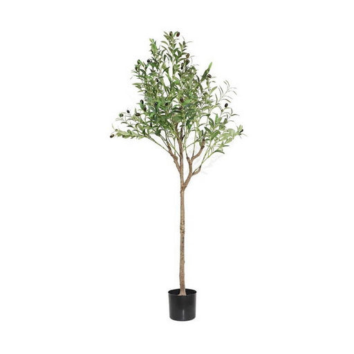Τεχνητό Φυτό Olive Tree NP1384 150cm | Dagiopoulos.gr
