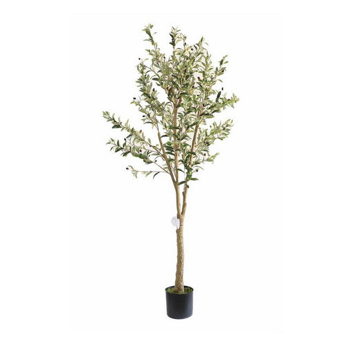 Τεχνητό Φυτό Olive Tree NP405 175cm | Dagiopoulos.gr
