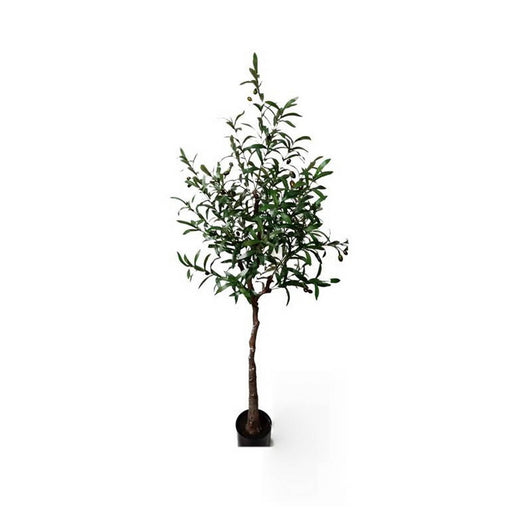 Τεχνητό Φυτό Olive Tree NP4817 160cm | Dagiopoulos.gr