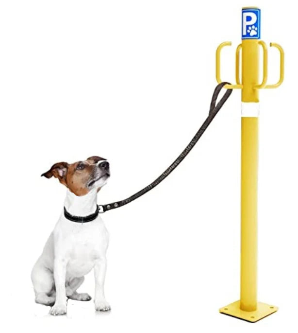 Κολωνάκι Πάρκινγκ Κατοικίδιων Εξωτερικής Χρήσης Με 4 Θέσεις