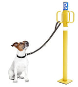 Κολωνάκι Πάρκινγκ Κατοικίδιων Εξωτερικής Χρήσης Με 4 Θέσεις