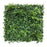 Κάθετος Διακοσμητικός Κήπος A143 Green Dream Amsterdam 100x100cm | dagiopoulos.gr
