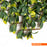 Πτυσσόμενη Πέργκολα Με Φυλλωσιά MZ186006A Miami 100x200cm | dagiopoulos.gr