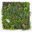 Κάθετος MZ189023A Διακοσμητικός Κήπος Paris 100x100cm | Dagiopoulos.gr