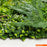 Κάθετος MZ189023A Διακοσμητικός Κήπος Paris 100x100cm | Dagiopoulos.gr