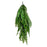 Κρεμαστό Φυτό T011 Persian Fern Cuba 70cm Σετ 10 Τεμ | dagiopoulos.gr
