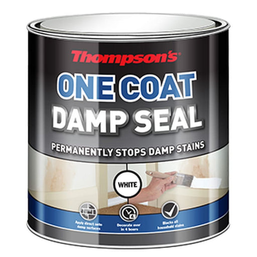 Thompsons One Coat Damp Seal